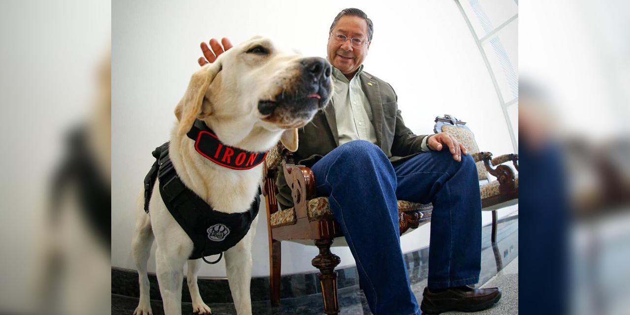 Pasarela Canina, organizada por la empresa estatal Mi Teleférico. Foto: Jorge Mamani