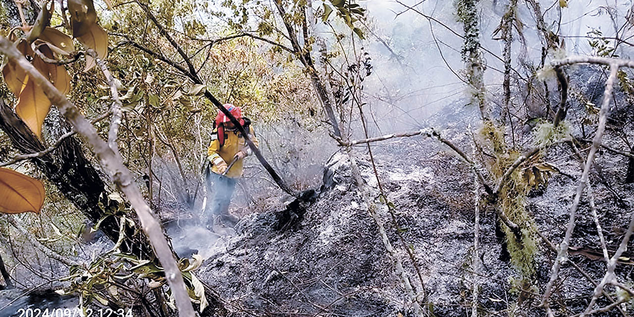 Un bombero voluntario en trabajo de mitigación de un incendio forestal. | Foto: ABI