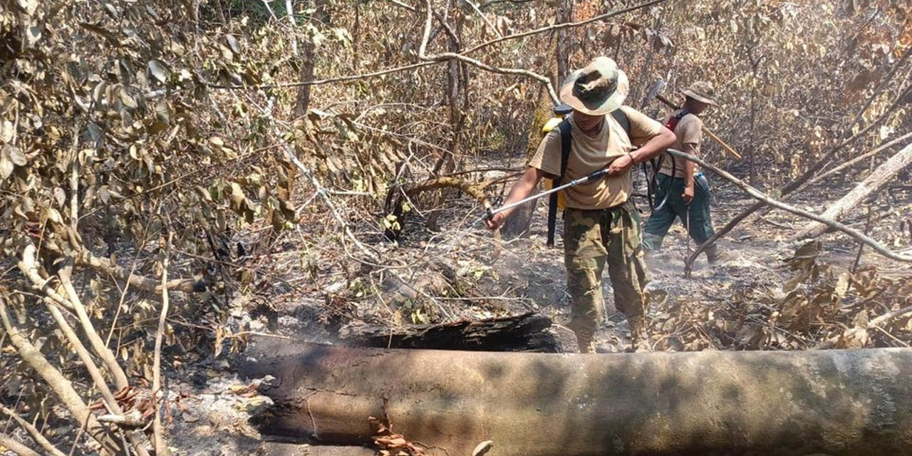 Bomberos forestales de la Base Naval "Rubén Darío" excavan sendas y líneas de defensa para detener el avance del fuego en el Parque Noel Kempff Mercado. Foto: MdD