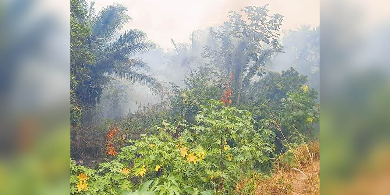 Fuego registrado ayer en el municipio de Warnes. | Foto: Gobernación de Santa Cruz