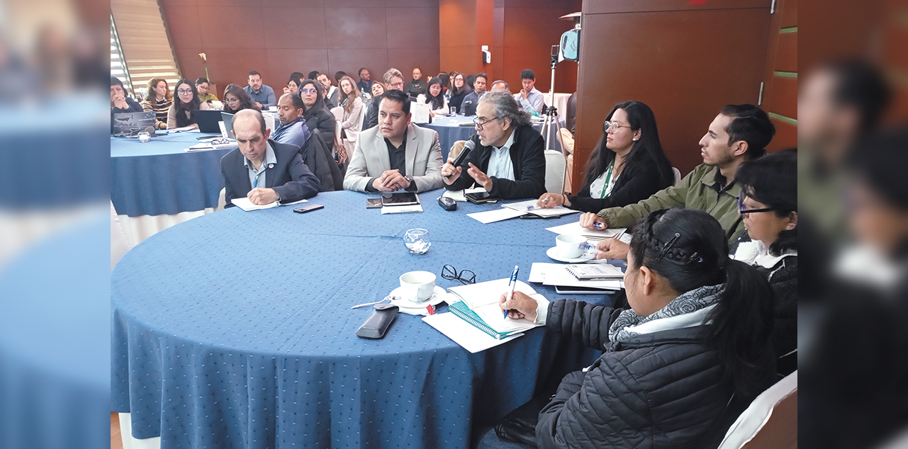 El secretario general de la Vicepresidencia, Juan Carlos Alurralde Tejada, durante su participación. Foto:  IRD