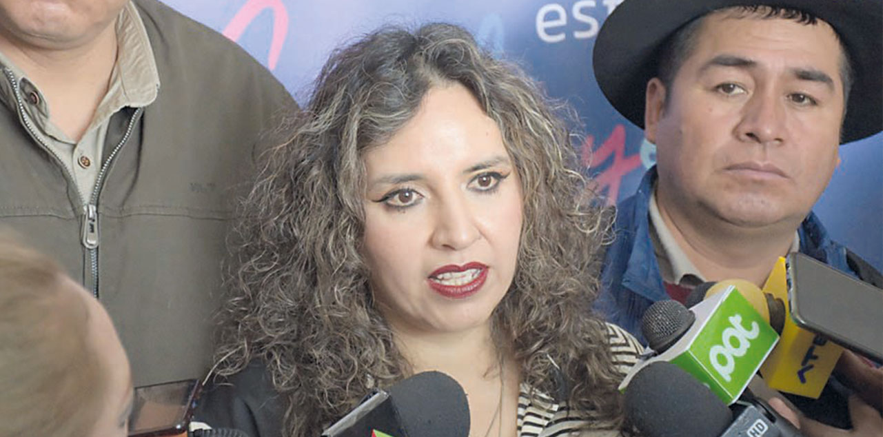 La ministra de Salud, María Renée Castro, en rueda de prensa. Foto: MSYD