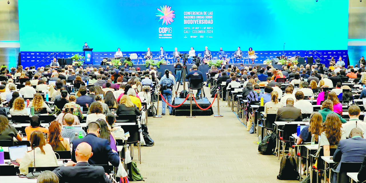 La Conferencia de las Partes, que se lleva adelante en la ciudad de Cali, Colombia. Foto: Cancillería