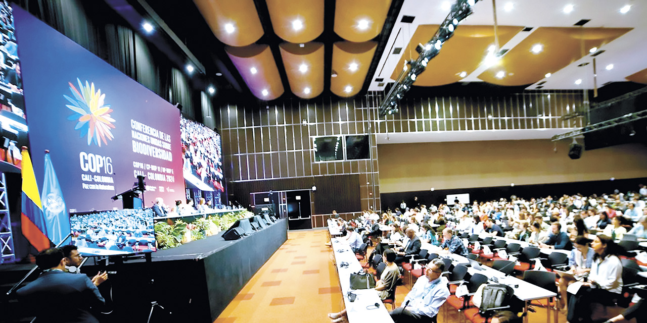 Plenaria de la COP16 en Cali, Colombia. | Foto: COP16