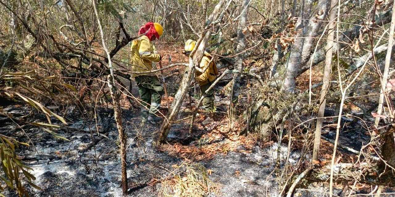 Bomberos lograron extinguir incendios en el municipio de Quirusillas, en Santa Cruz, el viernes. Foto: Gobernación de Santa Cruz