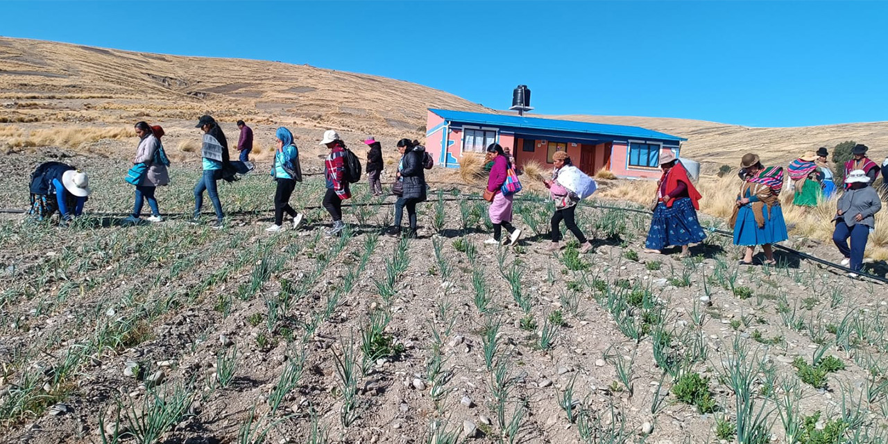 Umamamas y Lideresas del Agua unen fuerzas para el empoderamiento femenino y la protección ambiental