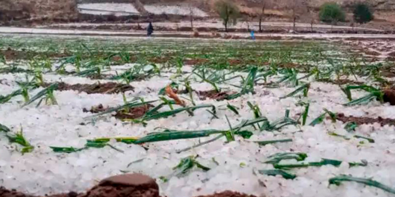 Granizada en Tarija. Foto: RRSS