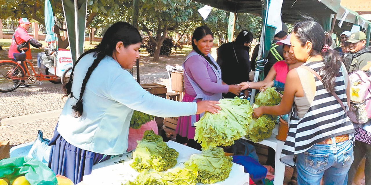 Una vendedora en una de las ferias en la plaza Villarroel de la zona de Miraflores, en La Paz. // Foto: Bolivia tv