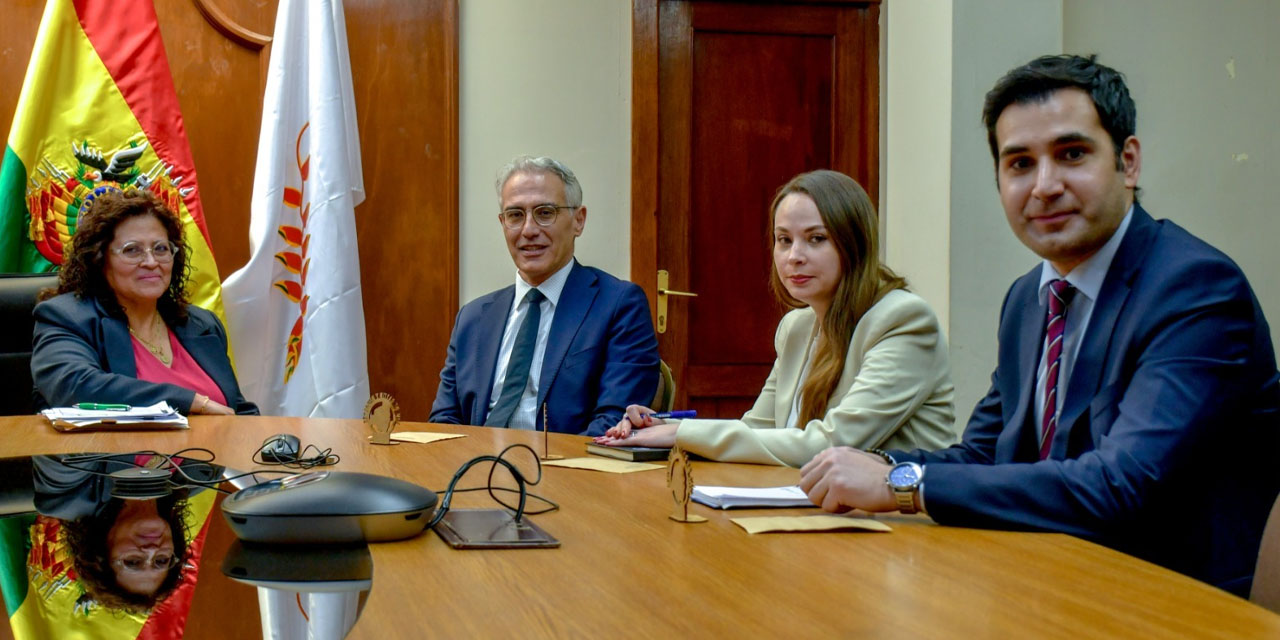 La ministra de salud se reunió con el embajador de Turquía en Bolivia.