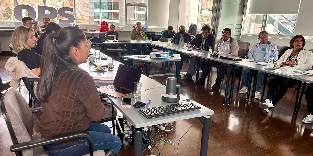 Bolivia busca ajustar el plan nacional de respuestas ante futuras pandemias. | Foto: OPS