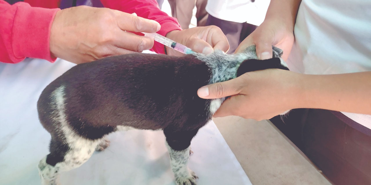 FOTO: Sedes Cochabamba