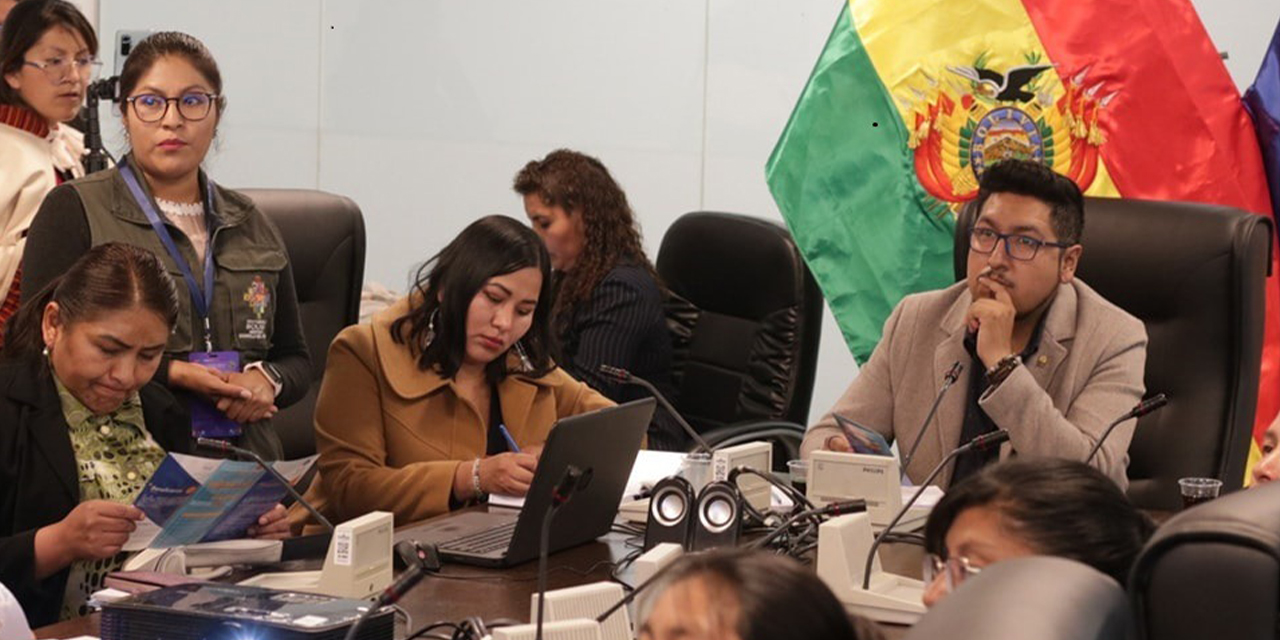 Reunión de la Comisión de Planificación en la Asamblea. (Foto: Archivo)