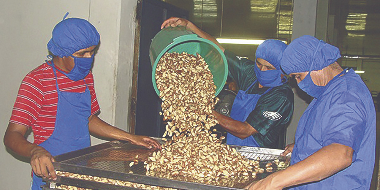 La moderna planta de almendra genera empleos. (Foto: MDP YEP)