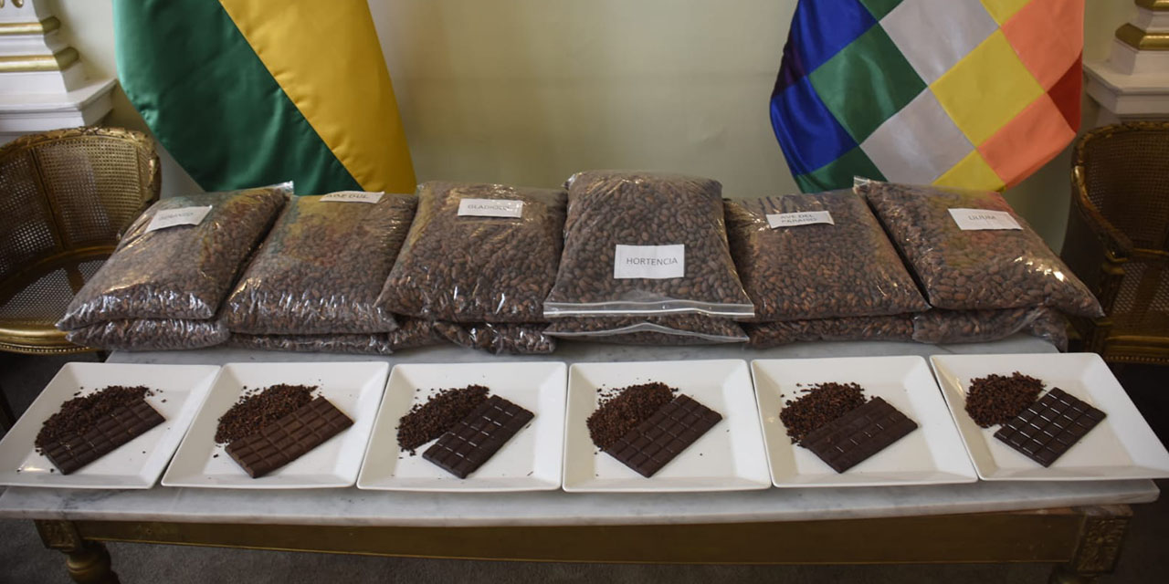 Muestras ganadoras de cacao y chocolate representarán a Bolivia en París