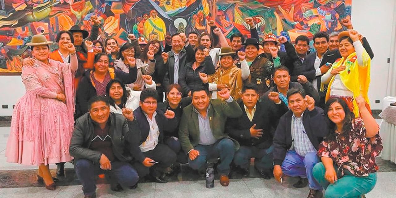 El presidente Luis Arce junto a los senadores de su partido. (Foto: Presidencia)