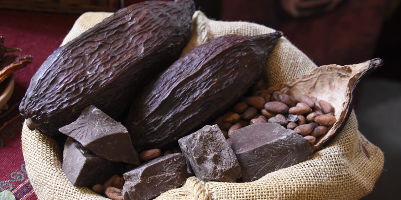 La calidad del cacao boliviano es reconocida en el mundo. (Foto: Archivo)