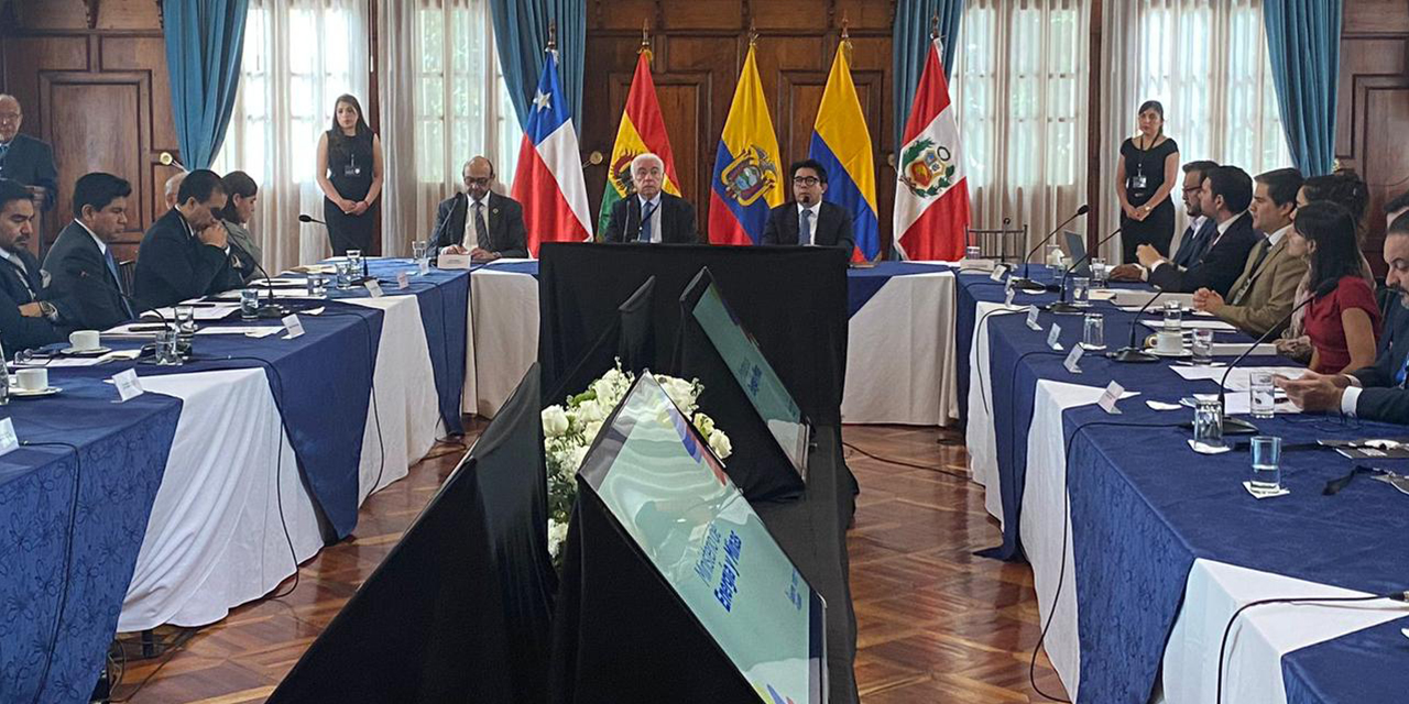 Bolivia presenta avances en integración energética regional ante el Sinea 