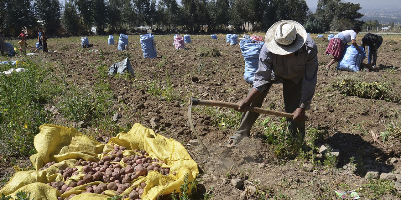 La producción de las plantas beneficiará al sector agropecuario del país.