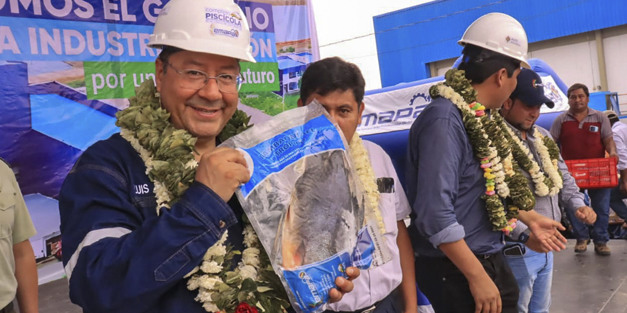 El presidente Luis Arce muestra el producto final del complejo piscícola.