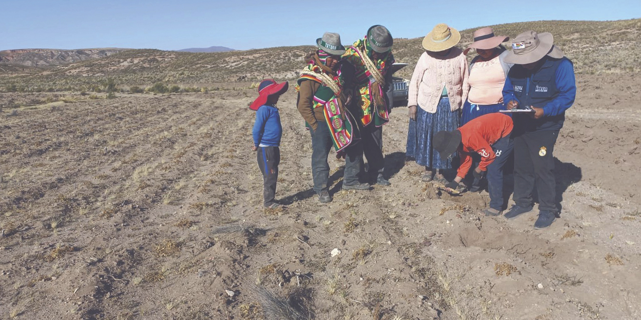 Cultivos afectados por la sequía.