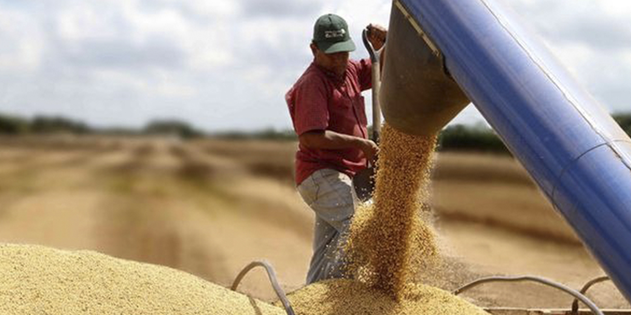 La producción de soya boliviana se centra en el oriente del país. (Foto: RRSS)