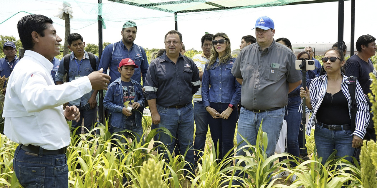 La actividad de la estatal petrolera por el Día de Campo