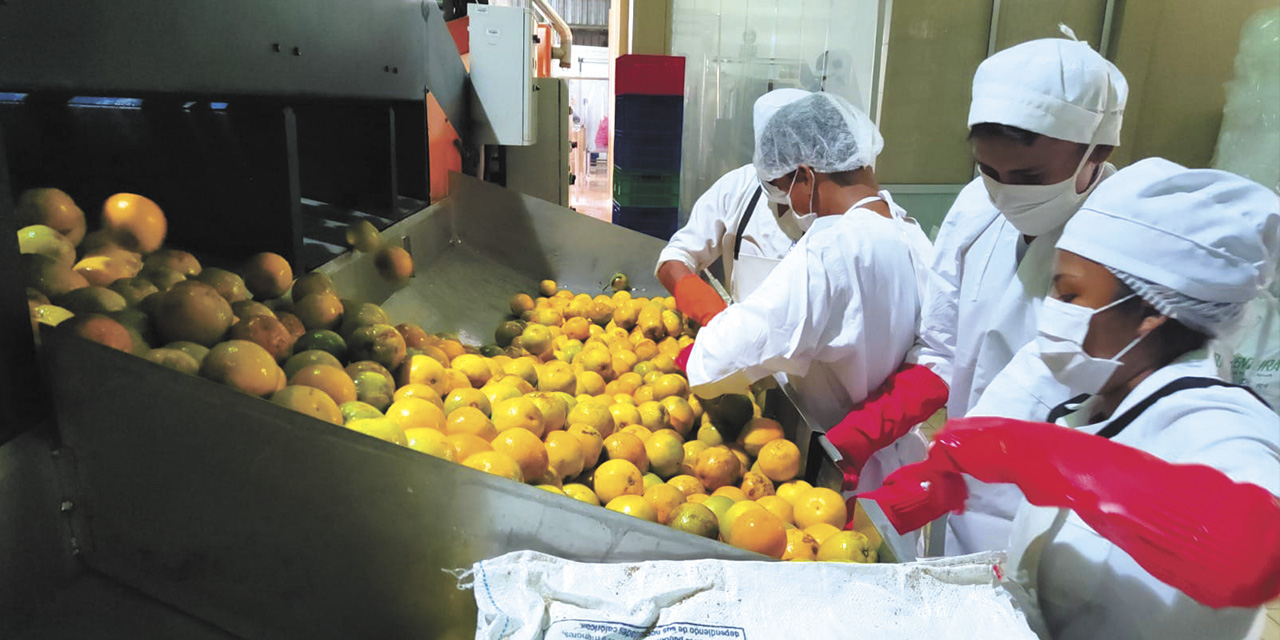 La Planta Procesadora de Cítricos, en Caranavi. | Foto: MDPyEP