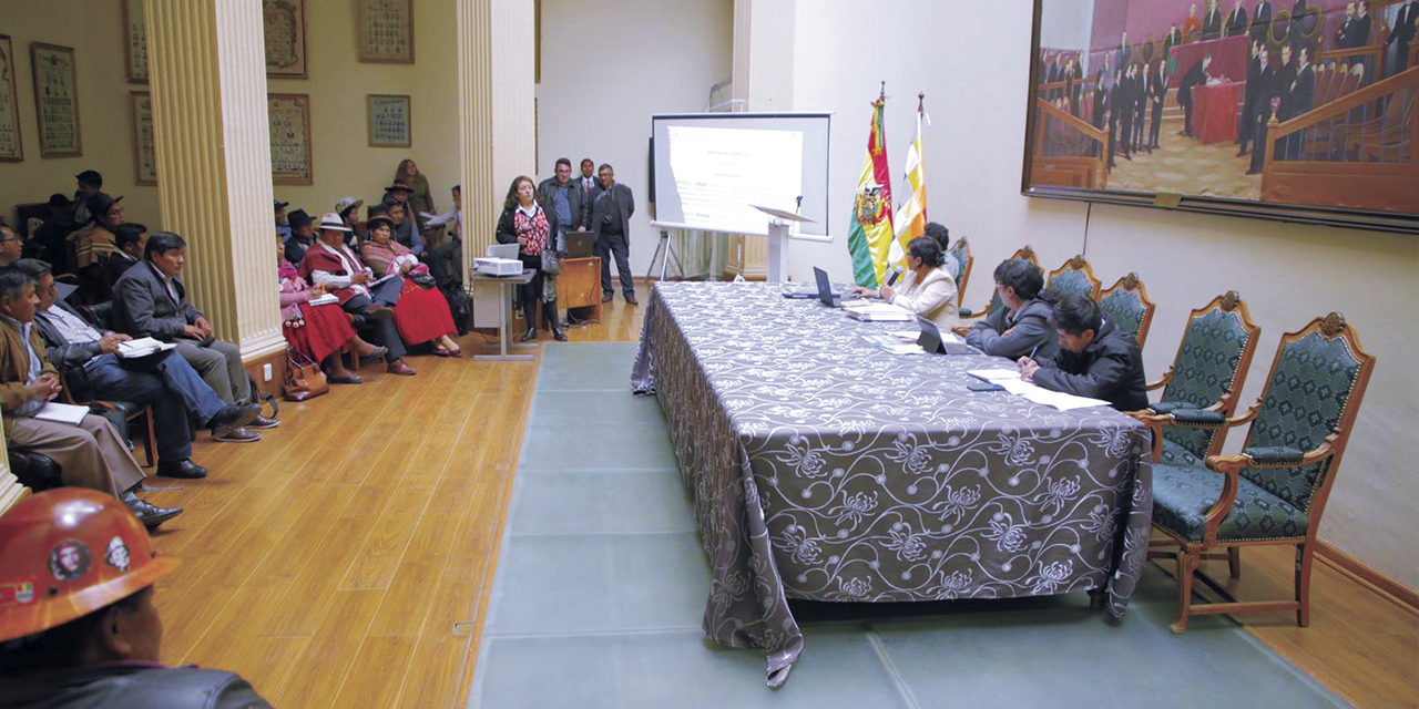 La presentación del proyecto de Ley del Litio en el Senado, ayer. | Foto: MHE