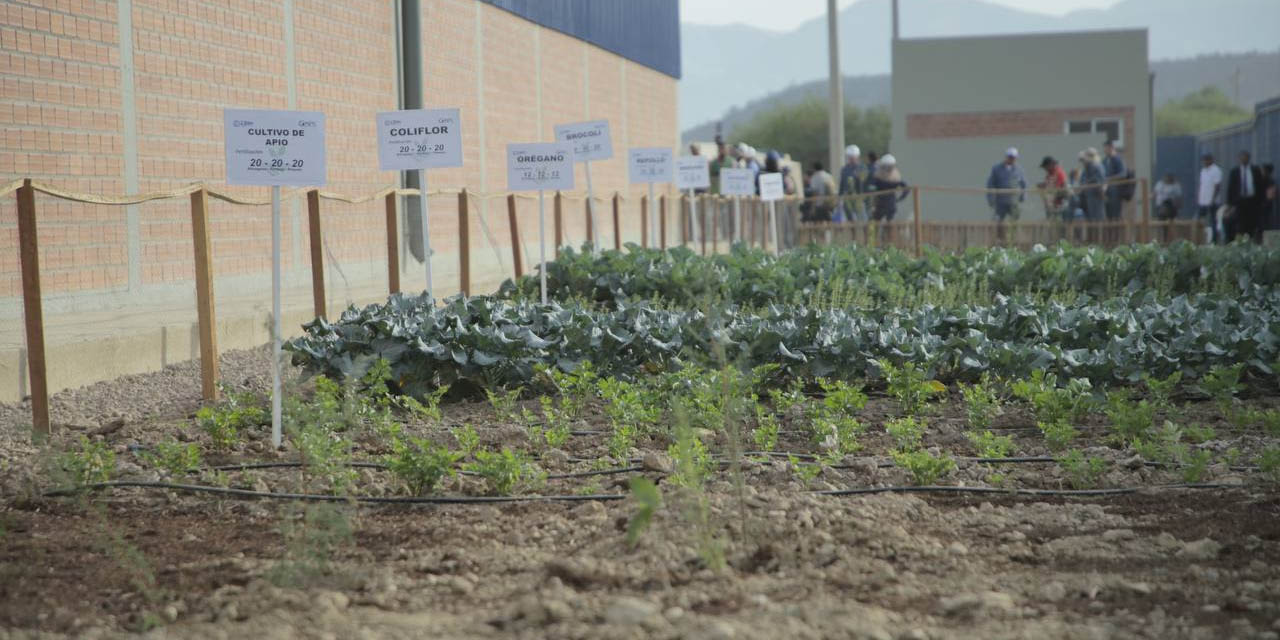 La planta NPK producirá urea de liberación controlada y fertilizantes compuestos para cultivos agrícolas. | Foto: MHE