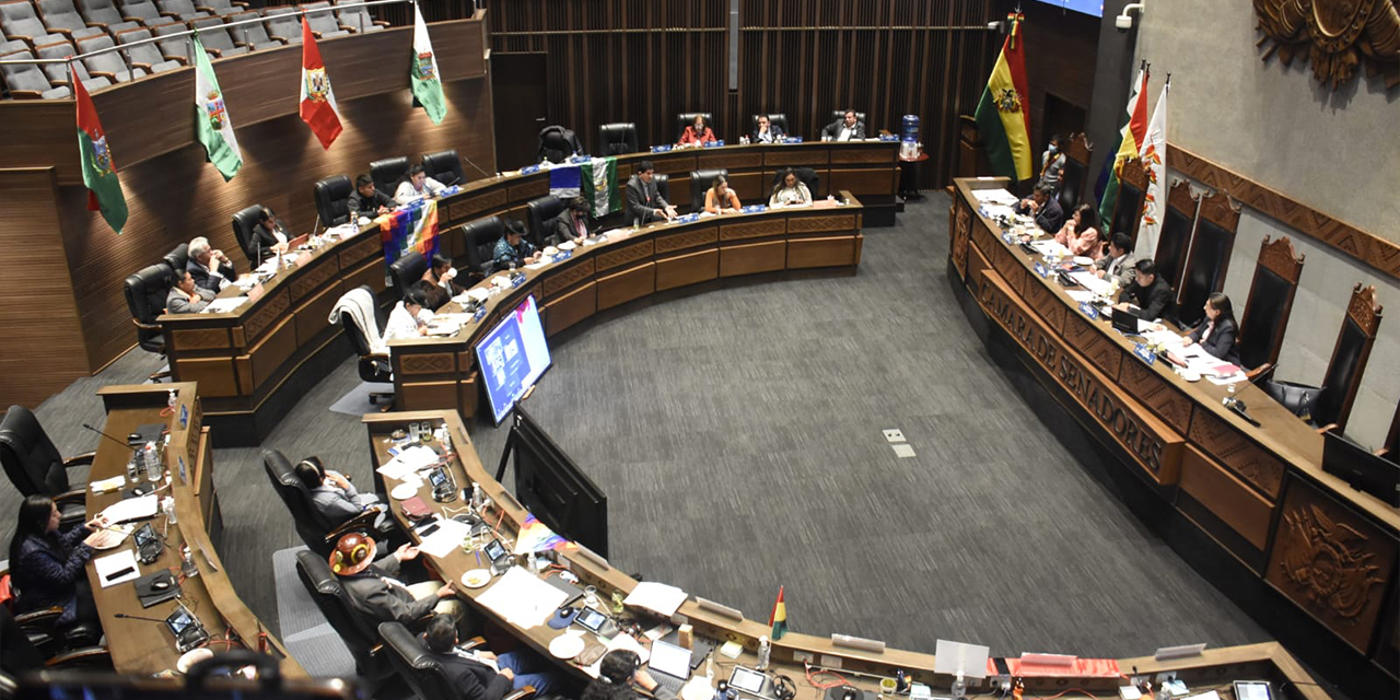 Cámara de Senadores. Foto: Archivo.