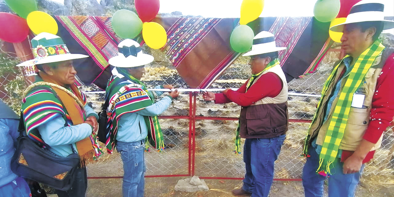 La tradicional ch’alla de los corrales.  | Foto: Programa Pro-Camélidos