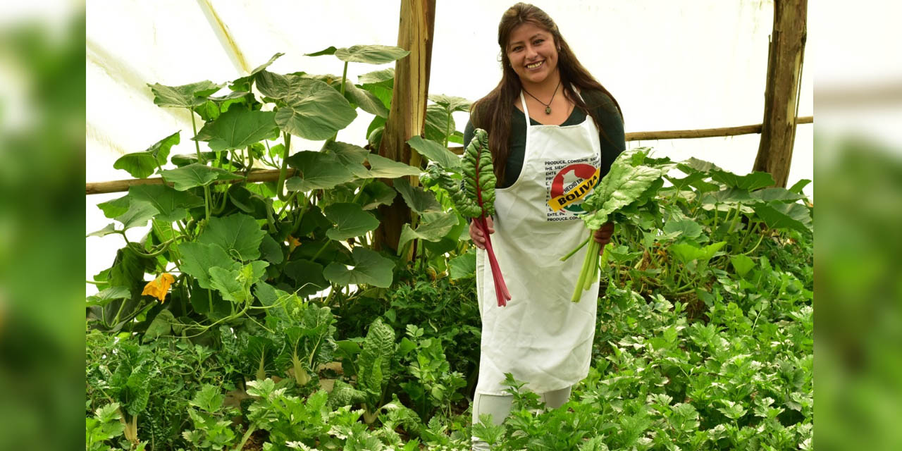 Beneficiaria del programa de fomento a la producción de hortalizas.  | Foto: Archivo