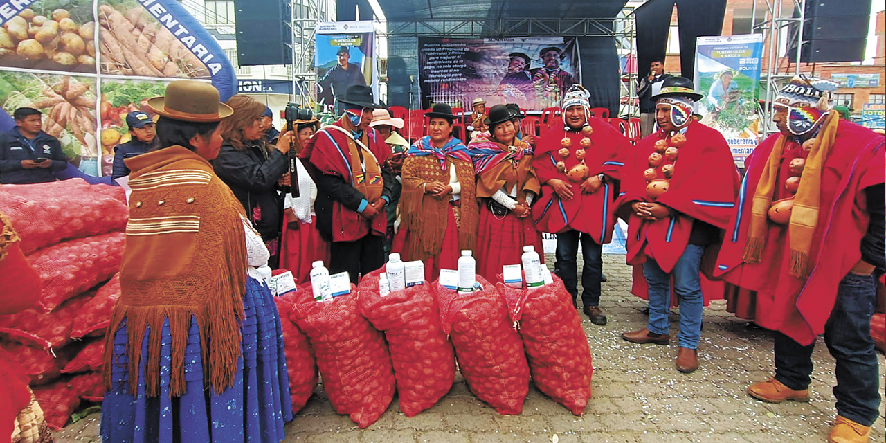 Las familias productoras reciben semillas de papa.  | Foto: MDRyT