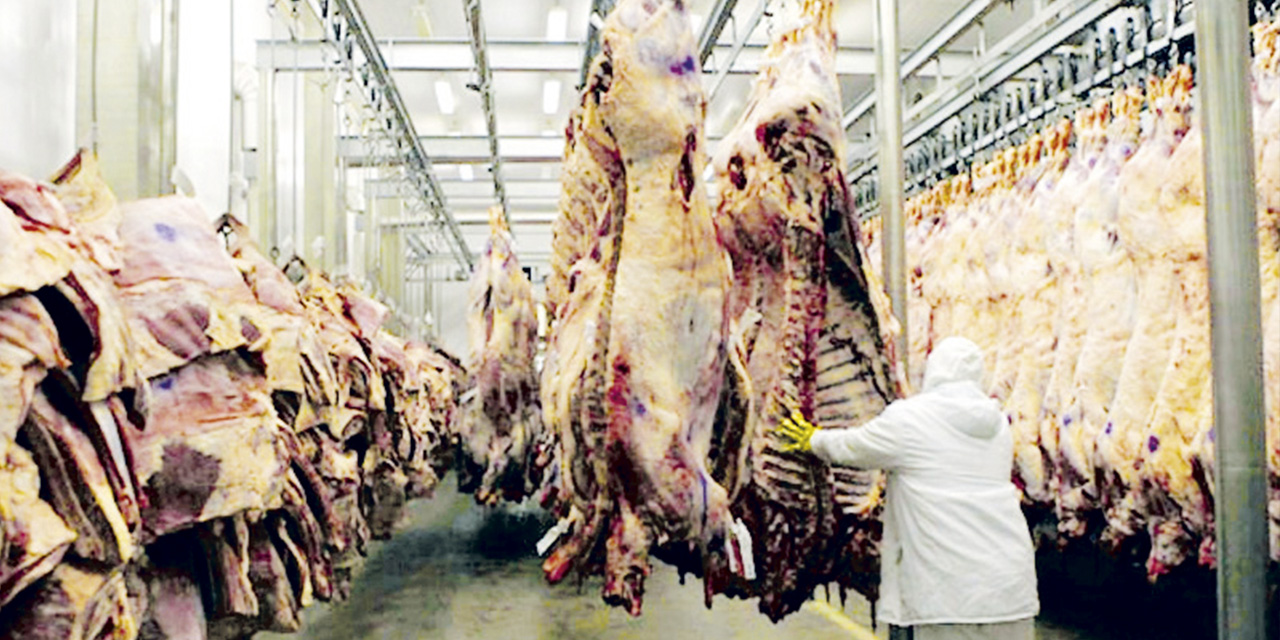 La carne bovina boliviana es requerida principalmente en China. | Foto: Archivo