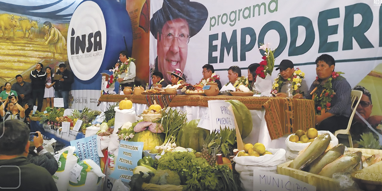 Los proyectos productivos buscan generar ingresos en las familias del trópico. | Foto: Archivo