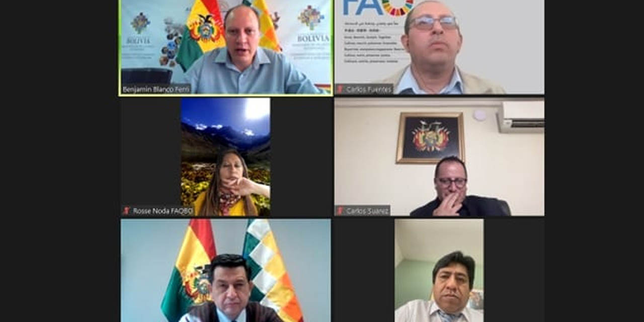 La reunión del viceministro de Comercio Exterior e Integración, Benjamín Blanco, y representantes de la FAO y de las misiones diplomáticas de Bolivia. Foto: MRE