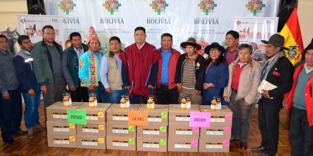 Entrega de insumos veterinarios a productores de camélidos.