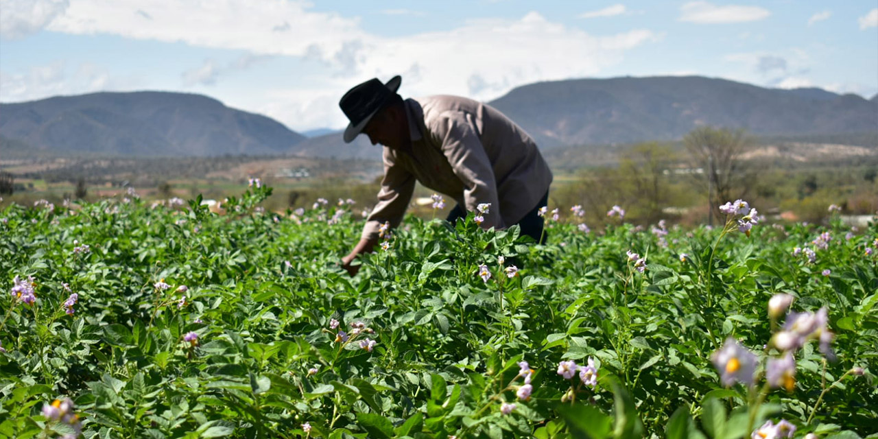 Programa Empoderar ejecutó Bs 182 millones en la reactivación agropecuaria y productiva del país