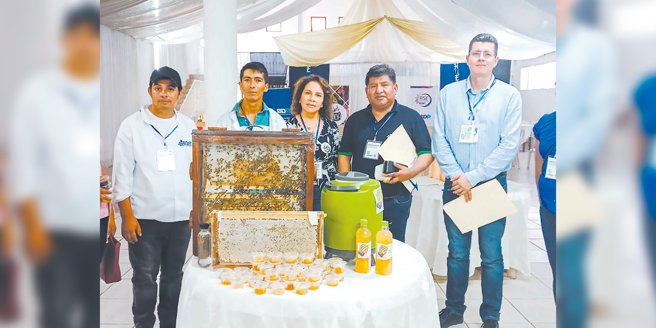 Promoción de sistemas gastronómicos sostenibles. Foto: BDP