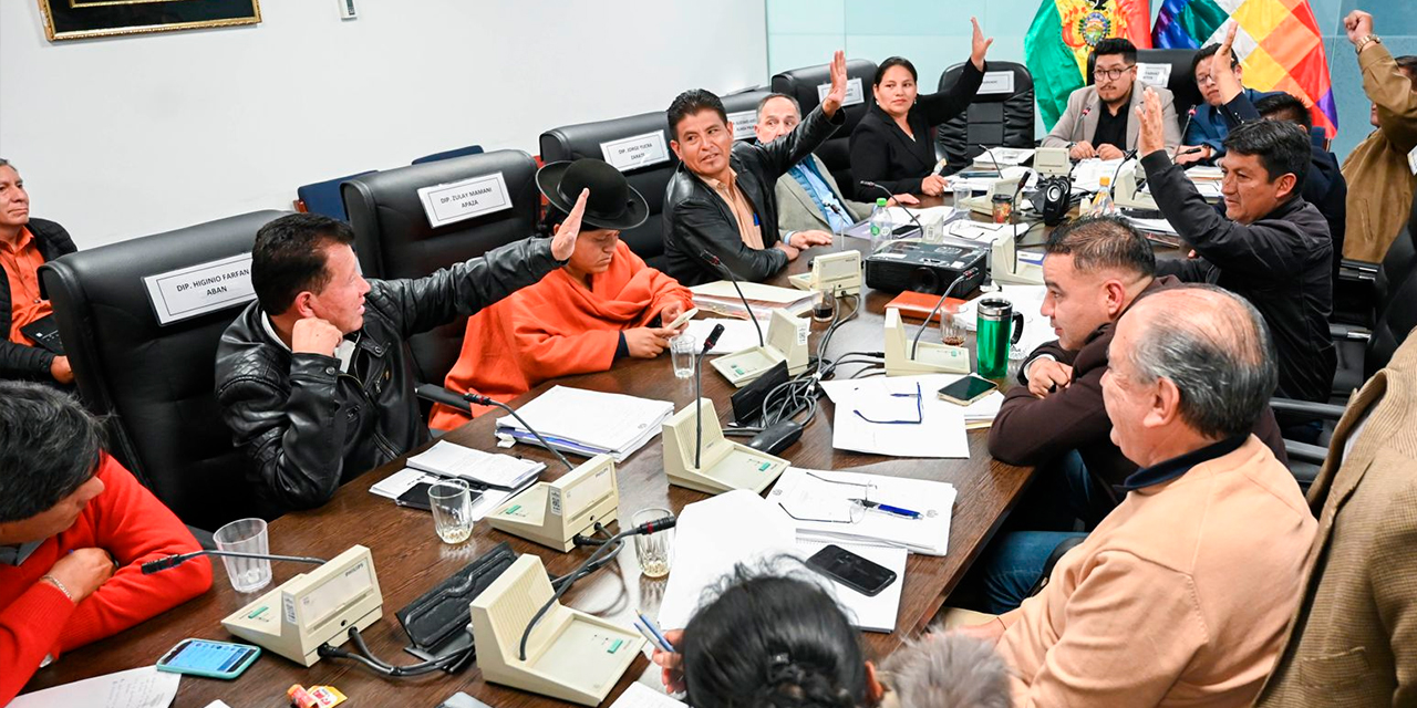 Sesión de la Comisión de Planificación, Política Económica y Finanzas de la Cámara de Diputados. Foto: MEyFP