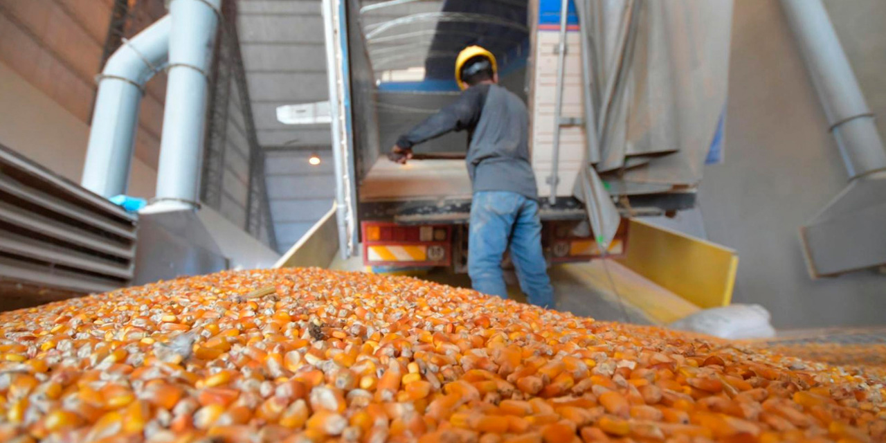 Emapa tiene silos donde se acopian los granos.  | Foto: Archivo