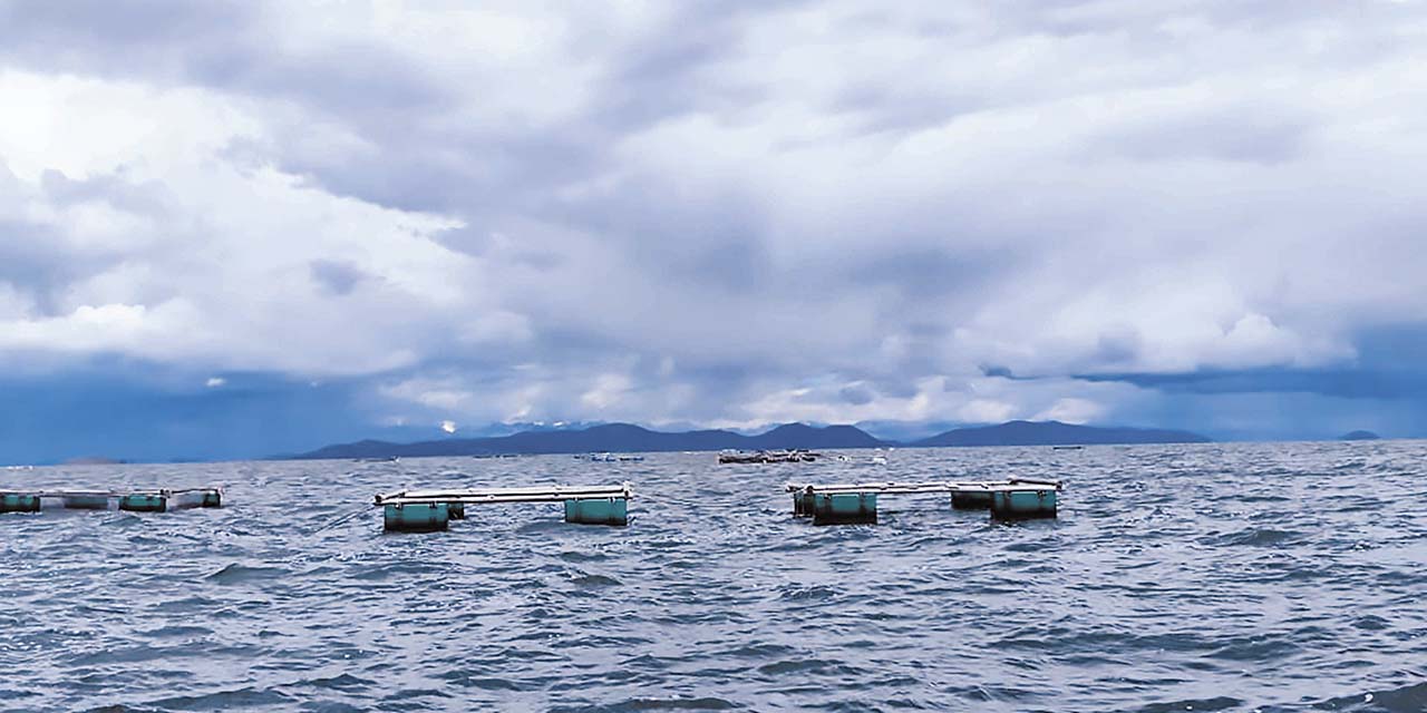 Las jaulas flotantes entregadas ayer. | Foto: MDRyT