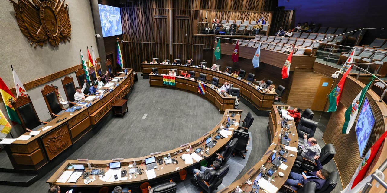 El pleno de la Cámara de Senadores. Foto: CS