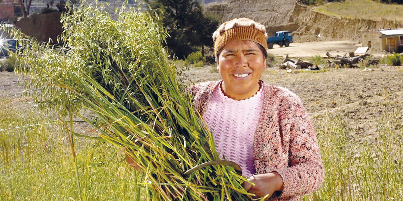 Gran parte  de estos créditos llega al sector agropecuario.  | Foto: BDP