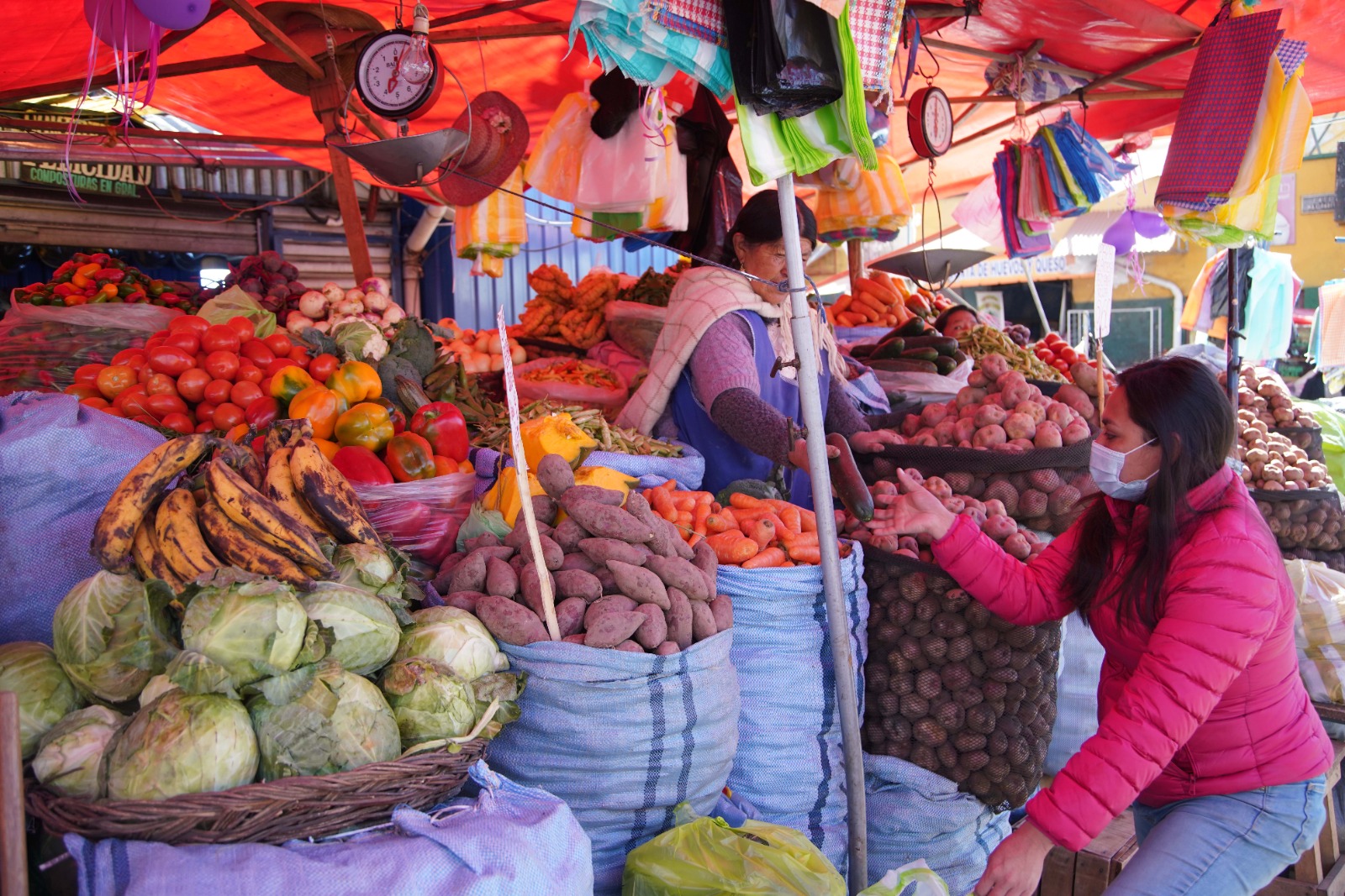 ALIMENTOS PRODUCTORES