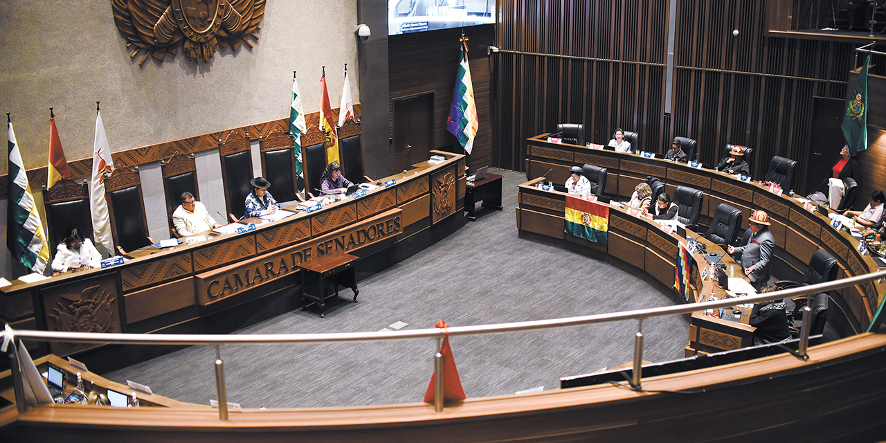 Los proyectos de ley para los créditos están a la espera de su tratamiento en el Senado. Foto:  Gustavo Ticona