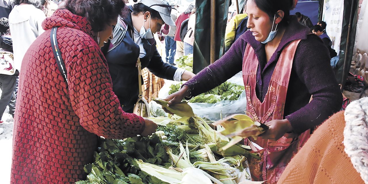 La estabilidad de precios en la canasta familiar es resultado de las medidas de protección que impulsa el gobierno del presidente Arce.  | Foto: Archivo