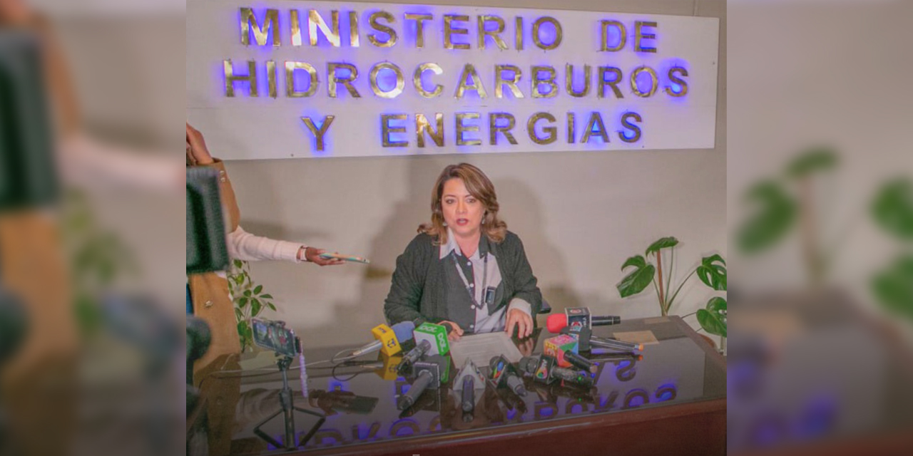 La asesora del Ministerio de Hidrocarburos y Energías (MHE), Rocío Molina. Foto: MHyE