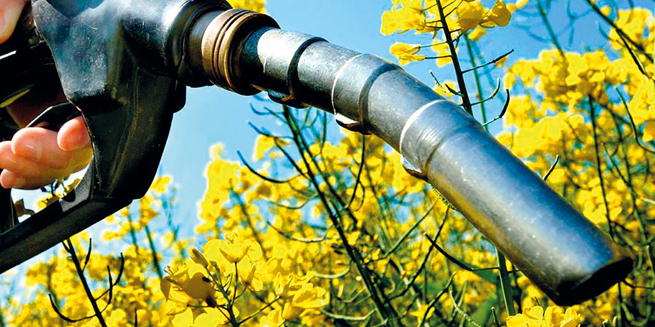 Los biocombustibles se obtienen a través de recursos naturales o residuos orgánicos. FOTO: RRSS