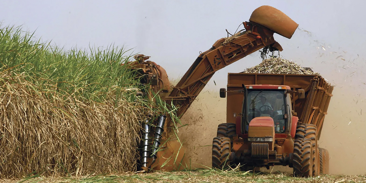 La industria de agroinsumos incrementará el rendimiento productivo